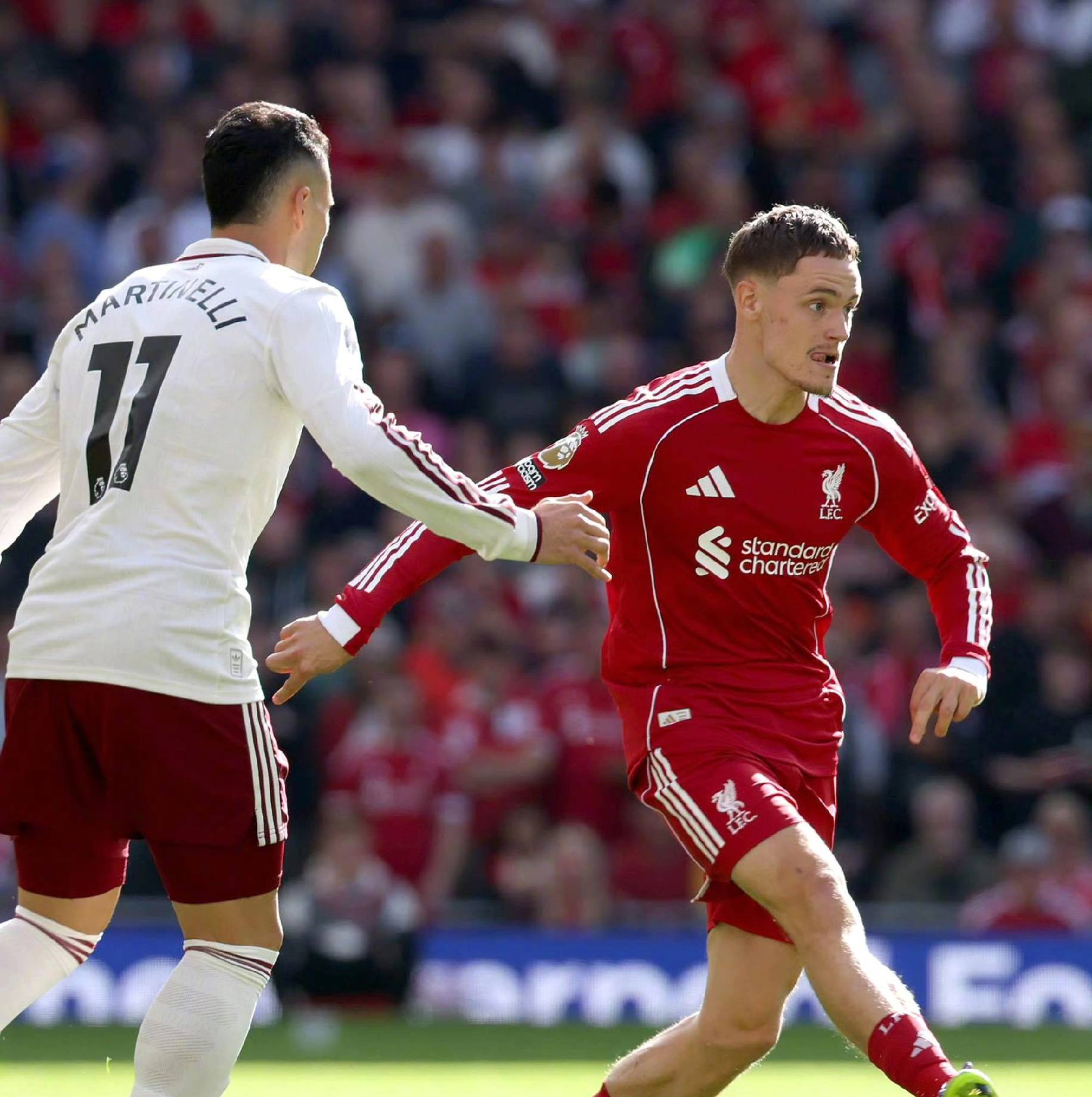 却对新手极 却对新手极